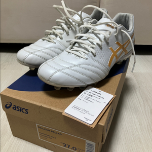 아식스 ds light pro ag