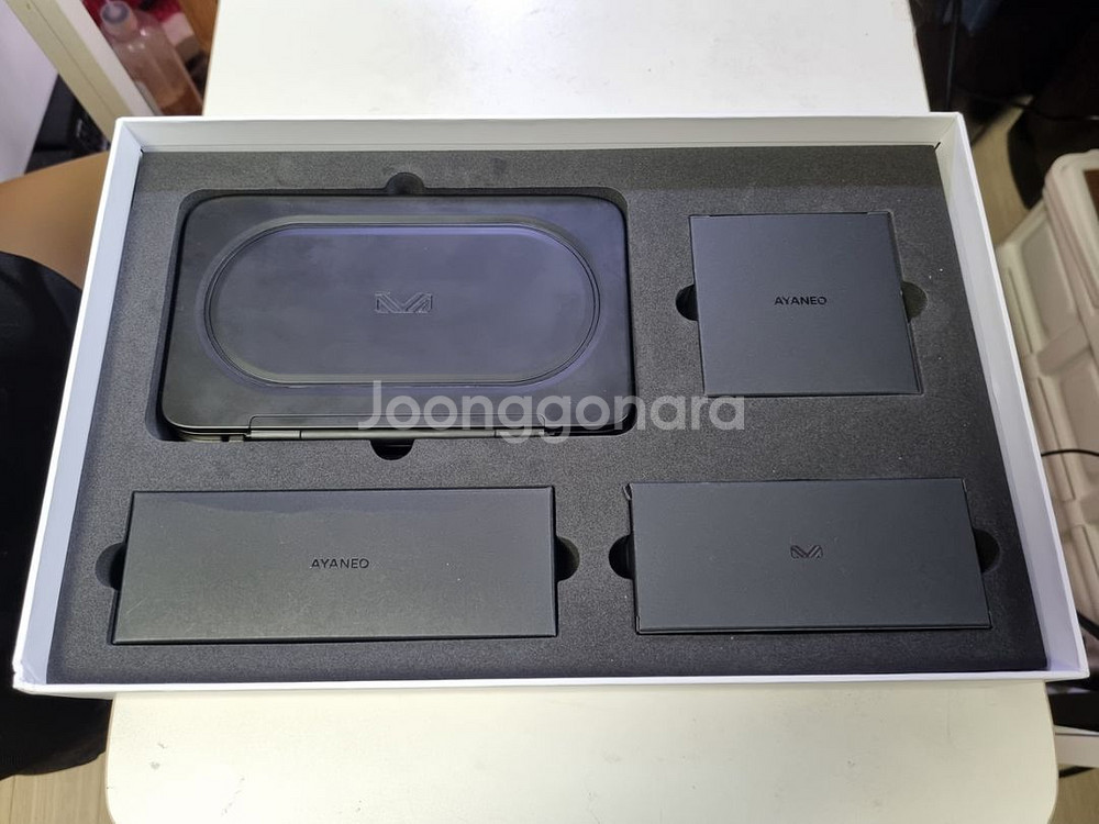 아야네오 플립 ds 8840u 2tb 64gb 팝니다--1