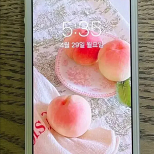 아이폰se 실버 32gb