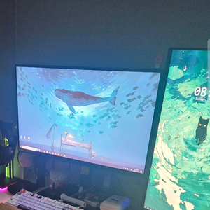 인터픽셀 IP2420 FHD IPS 100Hz