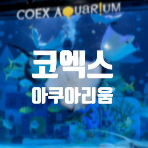 코엑스 아쿠아리움 모바일 티켓 저렴하게 팔아요