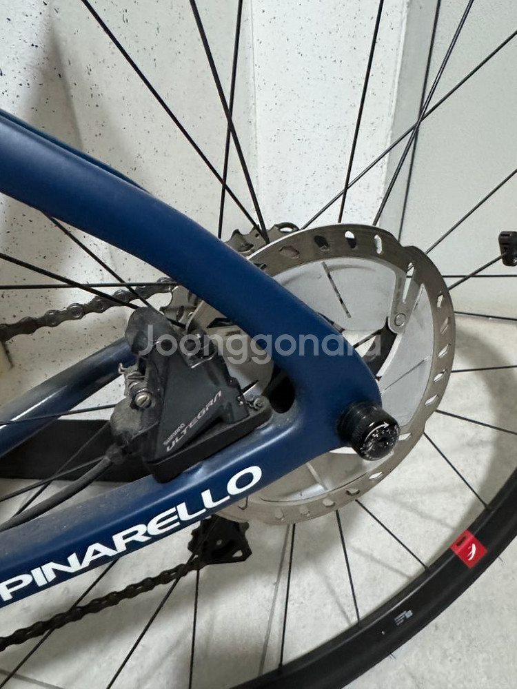 피나렐로 파리스 49 울테그라 디스크--1