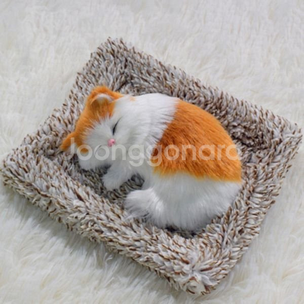 새 먼치킨 고양이 차량용 미니 동물 제습 인형 활성탄--1