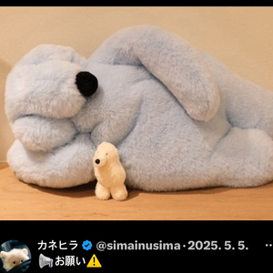 공상아파트먼트인형과 일본작가테디베어 판매합니다