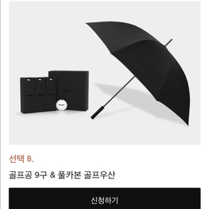 제네시스 골프공 9구 & 우산 (새제품)