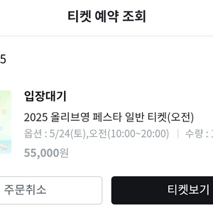 올리브영 페스타 토요일 오전 티켓 팔아요