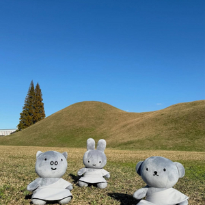 경주 한정 석굴암 미피 인형