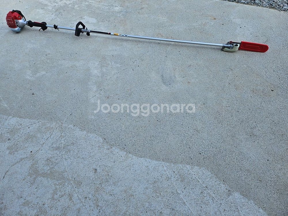제노아 고지톱--5