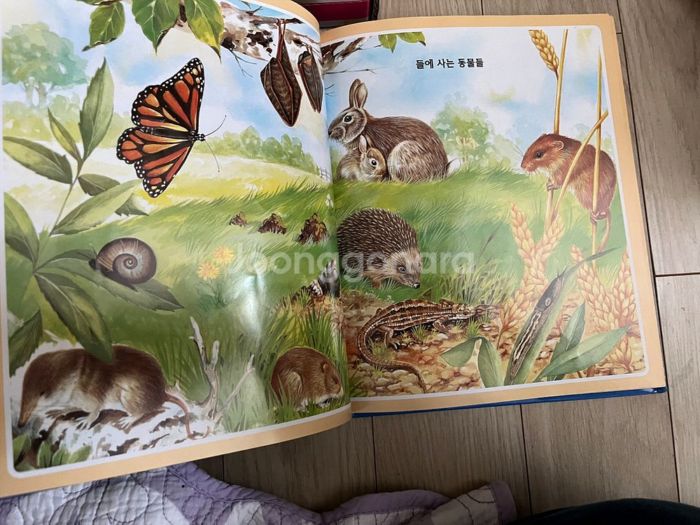 최상급) 30만원 가까이주고산 전집22권 웅진비쥬얼백과--1