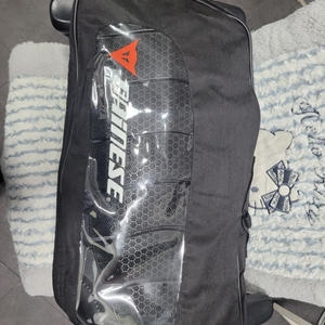 다이네즈 dainess 척추보호대