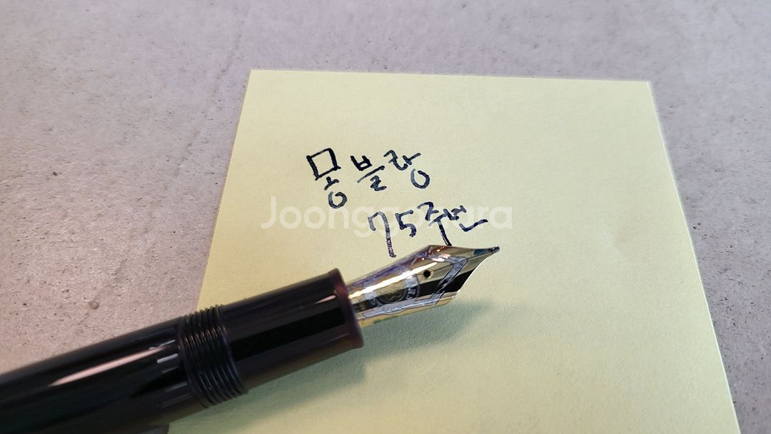 몽블랑 마이스터스튁 75주년 146 만년필--9