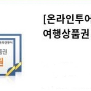 온라인투어 여행상품권 20만원