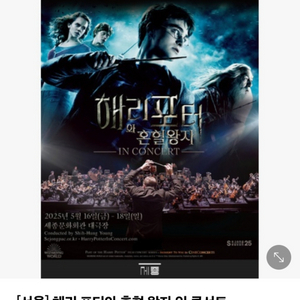 해리포터와 혼열 왕자 콘서트 R석 2장 (5/16, 1