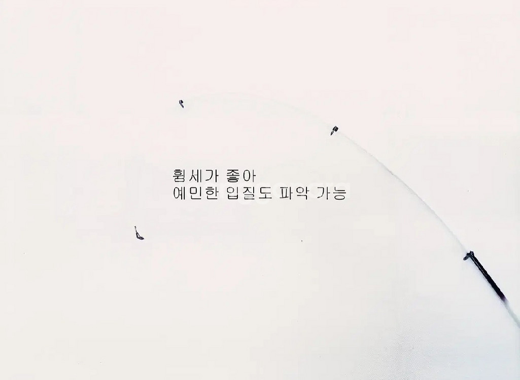 쭈꾸미.갑오징어.한치.준내만갈치루어대210+시마노릴+줄--1