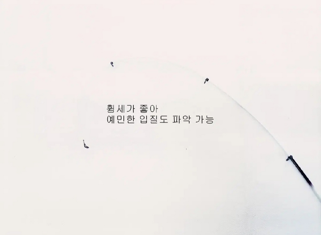 쭈꾸미.한치.준내만갈치,화살촉오징어루어대210+릴+합사 이미지