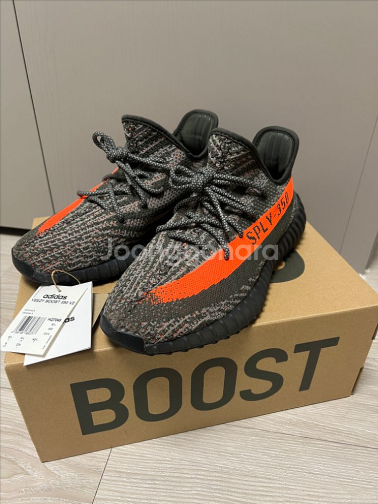 아디다스 이지부스트 350 V2 카본 벨루가 270mm--1