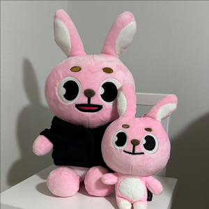 데이식스 월드투어 유스 앙콘 MD 원필 인형