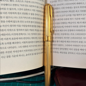 파카 소네트 만년필 - 도금 바디, 18k f촉, 프랑