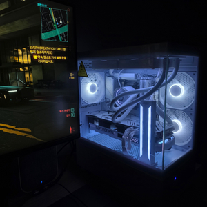 지포스 RTX 3080 팝니다.