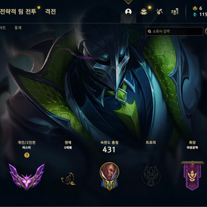 리그오브레전드 롤개인기사 롤듀오맡김 문의 LOL