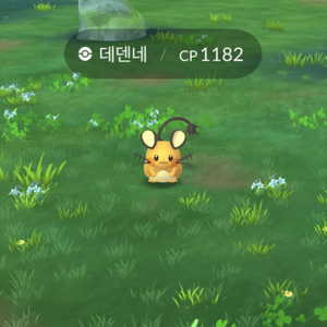 포고플
