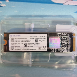 솔리다임 p44 pro 2tb ssd 벌크