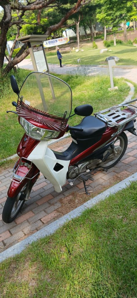 시티 베스트 이미지