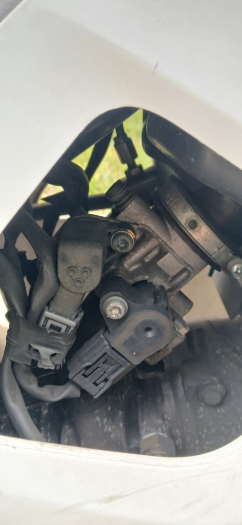 시티 베스트 이미지