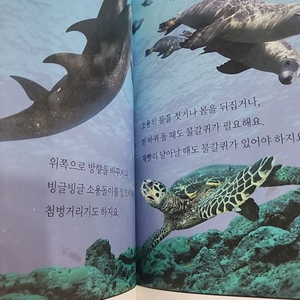 DK읽는재미 총 30권(레벨2,3) 택포 1.5