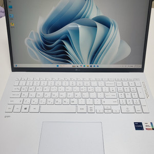 LG그램. 노트북. 17인치 i7 11세대. 램16 s