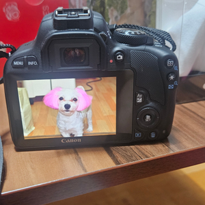 캐논 카메라 EOS 100D