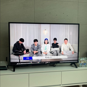 LG 49인치 스마트TV 팝니다