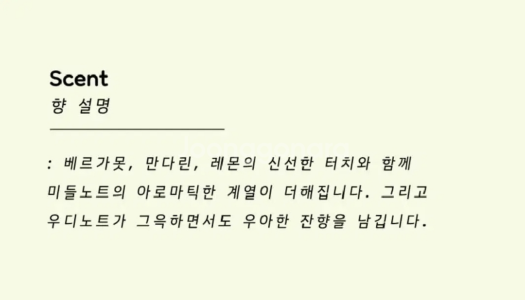 디스퀘어드2 우드 뿌르옴므 오드뚜왈렛 100ml--3