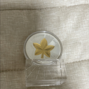 메이플 기념 주화 (은)