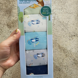 남아삼각팬티 80호