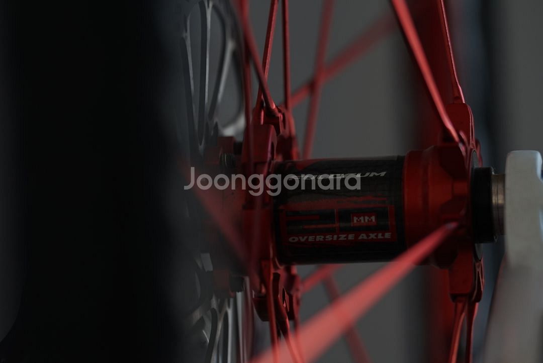 lite speed 티타늄 mtb 자전거--4