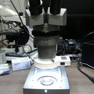 (인하)OLYMPUS VMT VMZ 쌍안실체현미경