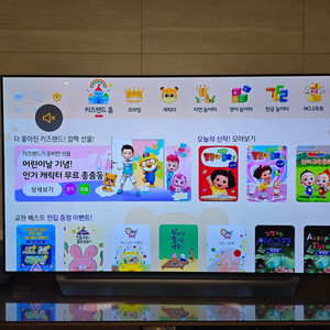 LG 올레드 TV 65인치