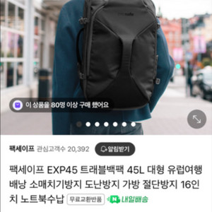 pacsafe 팩세이프 도난방지 트래블백팩