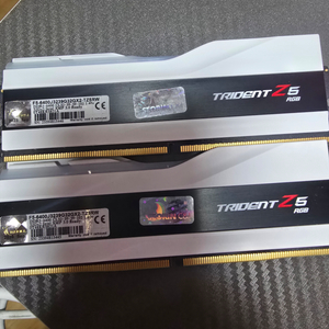 지스킬 ddr5 6400 CL32 실버 32기가 2개