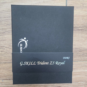 DDR5 GSKILL ROYAL 8000MHZ 48GB