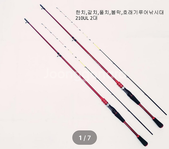 (1+1)한치,갈치,풀치,뽈락,호레기 210ul 2대--0
