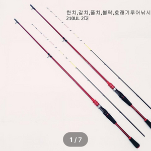 (1+1)한치,갈치,풀치,뽈락,호레기 210ul 2대