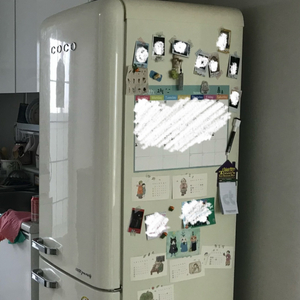코코일렉 영 레트로 간냉식 냉장고 230L CAJ23C