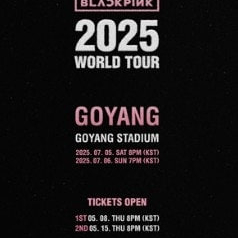 블랙핑크 콘서트 첫콘 막콘 양일 티켓 양도