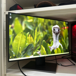 게임용 데스크탑 세트 hp i9 2080ti dell2