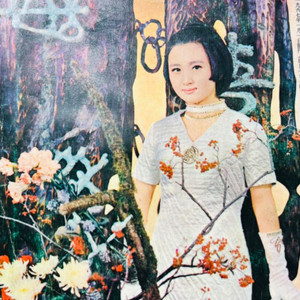 여원 여성 잡지 1967년 1.2.3월호(3권) 일괄