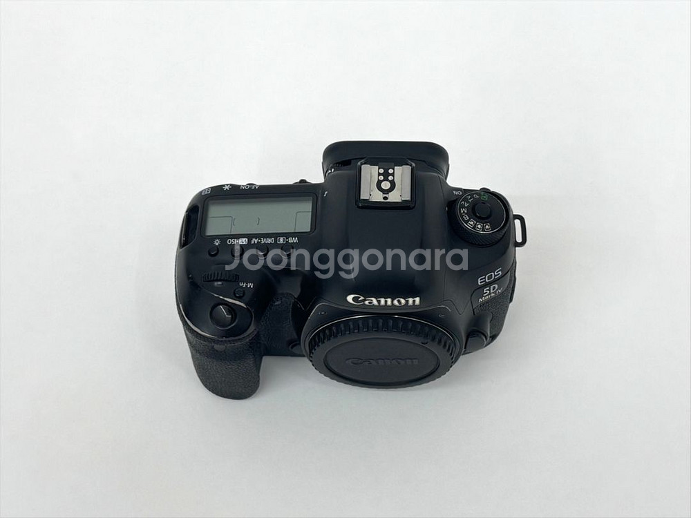 캐논 EOS 5D MARK IV 오막포/2470 신계륵--6