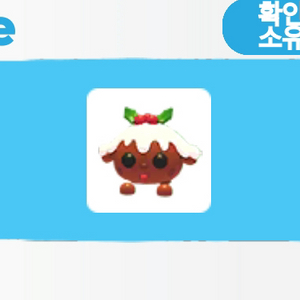 입양하세요 푸딩강아지