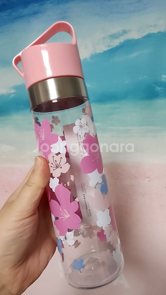 스타벅스 2012 사쿠라 클레이 워터보틀--1